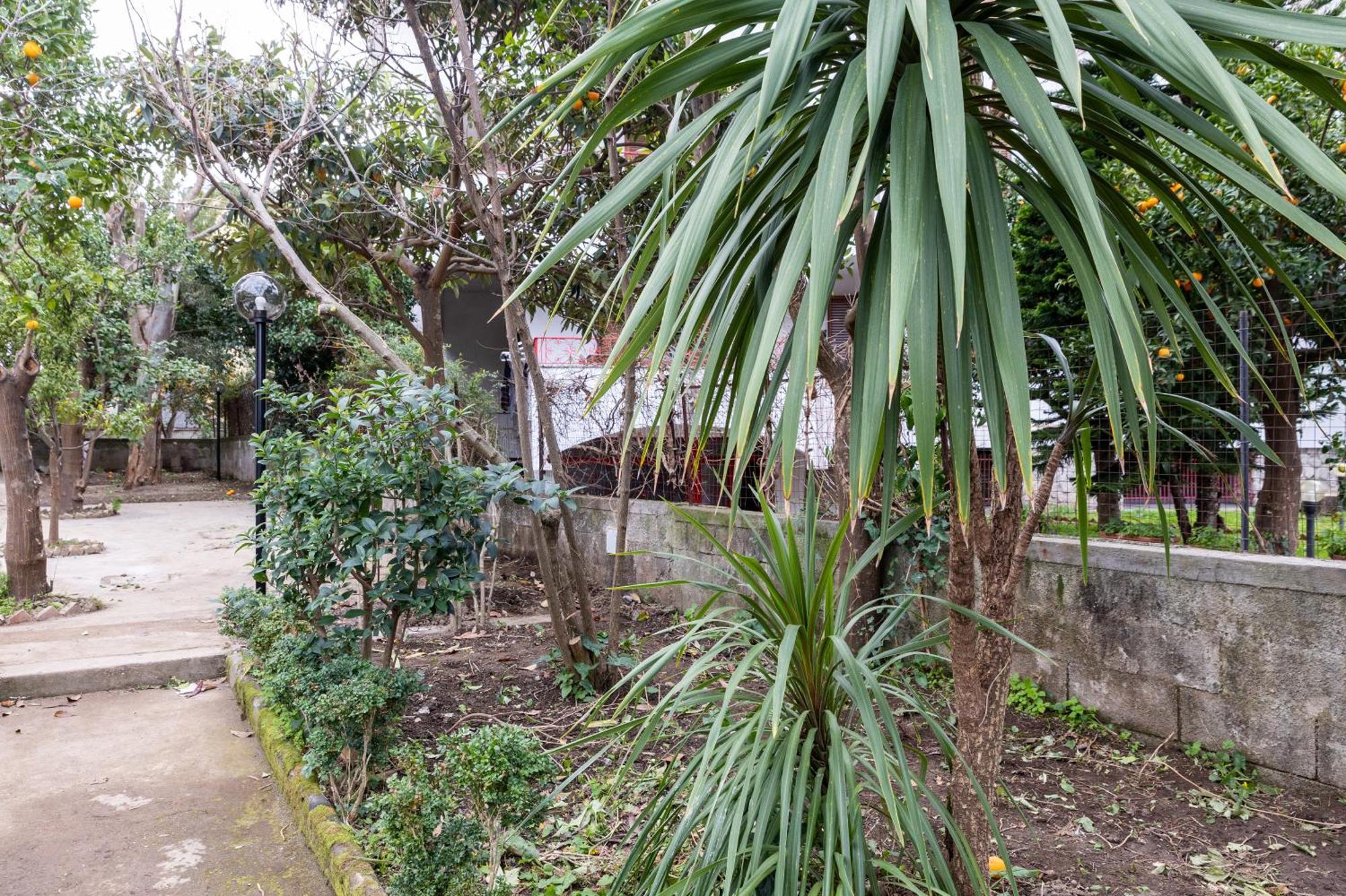 V Harmony In Sorrento Bed and Breakfast Meta Εξωτερικό φωτογραφία